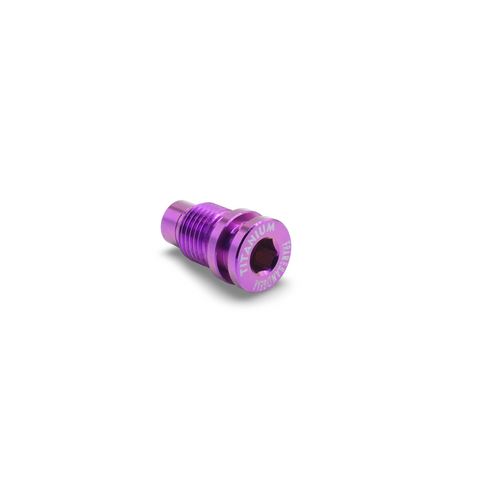 Framesandgear Titanium Derailleur Hanger Bolt Purple