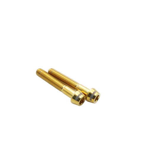 Framesandgear Titanium Computer Mount Bolts M5*30 Gold