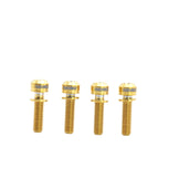 Framesandgear Titanium Computer Mount Bolts M5*18 Gold (Cylindrical Head)