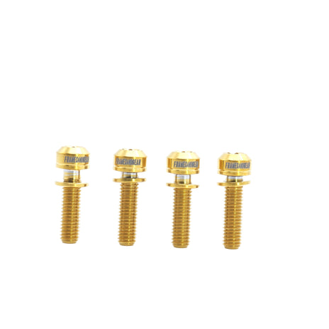 Framesandgear Titanium Computer Mount Bolts M5*18 Gold (Cylindrical Head)