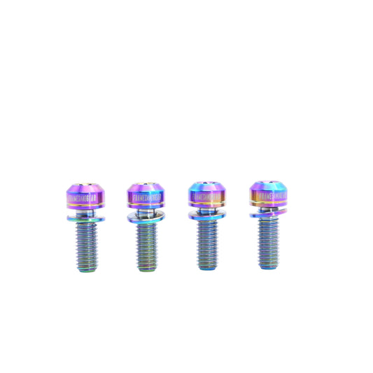 Framesandgear Titanium Computer Mount Bolts M5*14 Rainbow (Cylindrical Head)