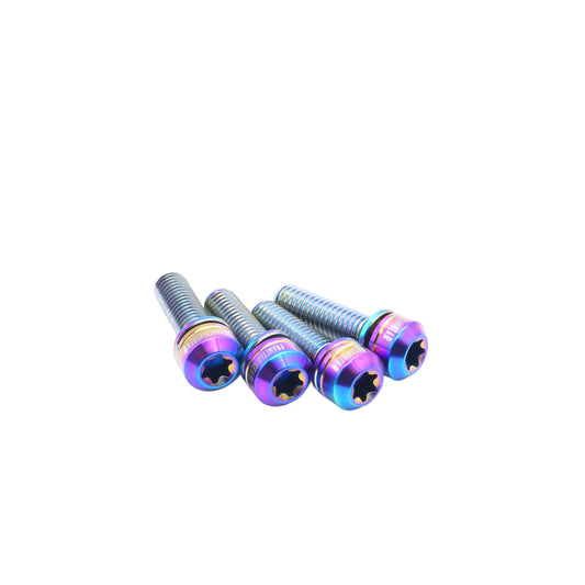 Framesandgear Titanium Computer Mount Bolts M5*18 Rainbow (Cylindrical Head)