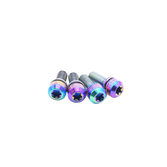 Framesandgear Titanium Computer Mount Bolts M5*14 Rainbow (Cylindrical Head)