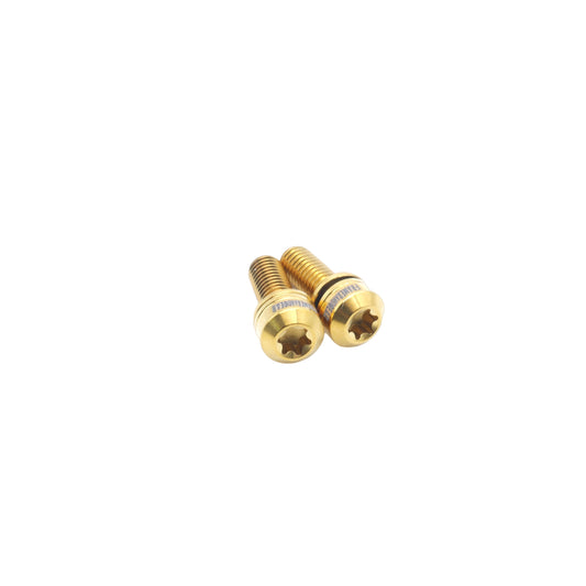 Framesandgear Titanium Computer Mount Bolts M5*14 Gold (Cylindrical Head)