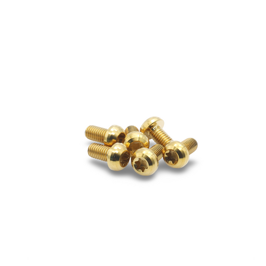 Framesandgear Titanium Rotor Bolts M5*10 Gold