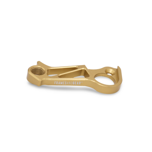 Close-up of the derailleur hanger in gold