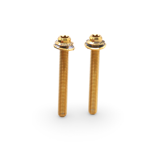 Framesandgear Titanium Disc Brake Caliper Bolts M5*40 Gold