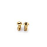 Framesandgear Derailleur Pulley Wheel Titanium Bolts M5*14.5 Gold