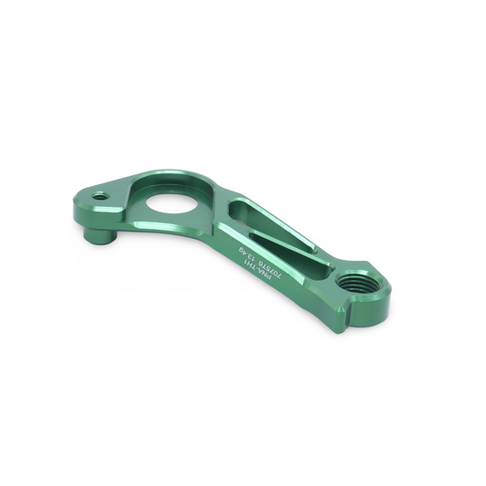 Framesandgear Direct Mount Derailleur Hanger for GAN (Campagnolo Shifting) Green
