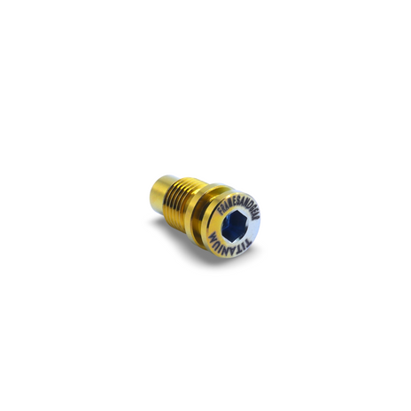 Framesandgear Titanium Derailleur Hanger Bolt Clear Gold Silver