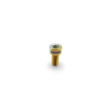 Framesandgear Titanium Gear Drop Hanger Bolt for Specialized SL6, SL7, SL8 and Venge Gold Silver