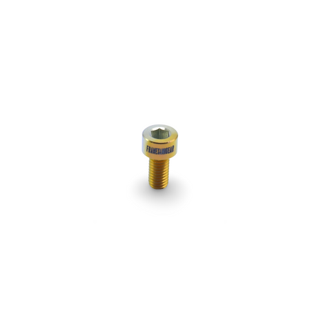 Framesandgear Titanium Gear Drop Hanger Bolt for Specialized SL6, SL7, SL8 and Venge Gold Silver