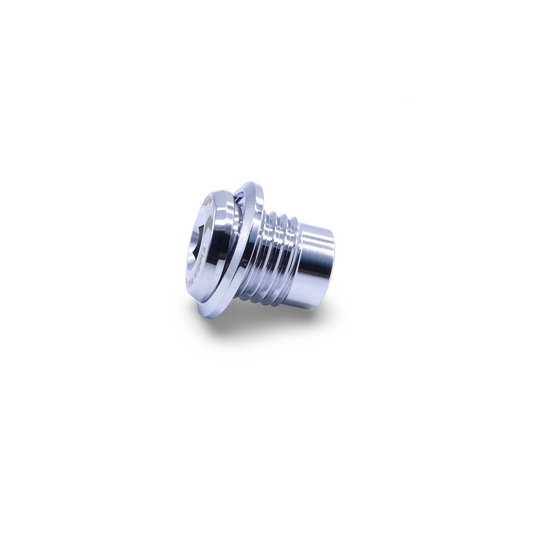 Framesandgear Spare Bolt for UDH Mounts (SRAM and Shimano) P1.0 Chrome