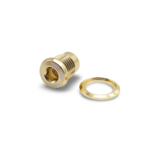 Framesandgear Spare Bolt for UDH Mounts (SRAM and Shimano) P1.0 Gold