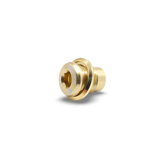 Framesandgear Spare Bolt for UDH Mounts (SRAM and Shimano) P1.0 Gold