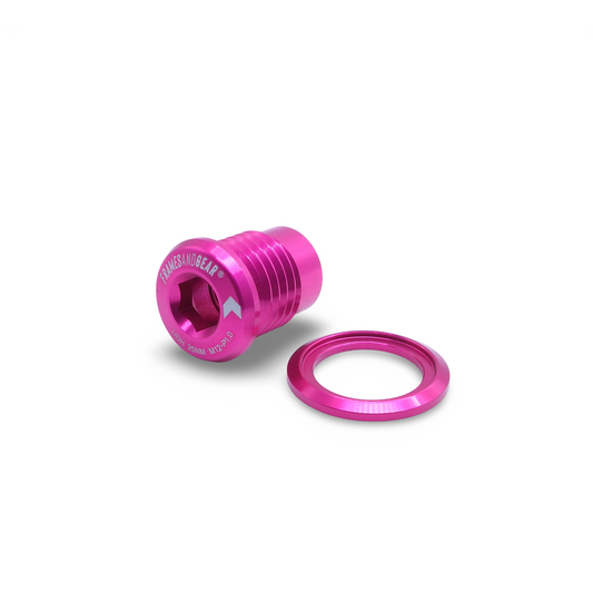 Framesandgear Spare Bolt for UDH Mounts (SRAM and Shimano) P1.0 Pink