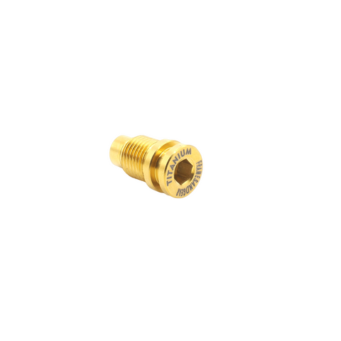 Framesandgear Titanium Derailleur Hanger Bolt Gold